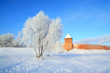 Similar image 491483