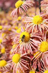 Similar image 491485