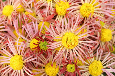 Similar image 491487