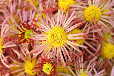 Similar image 491488