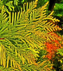 Similar image 491489