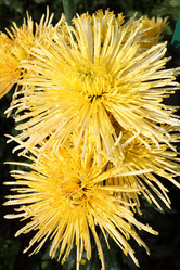 Similar image 491491