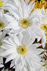 Similar image 491495