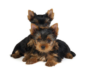 Similar image 491545