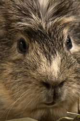 Similar image 491583