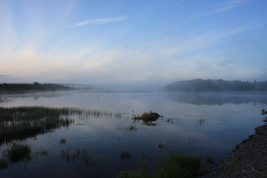 Similar image 491619