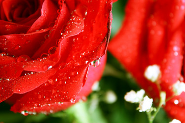 Similar image 491625