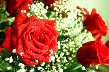 Similar image 491626