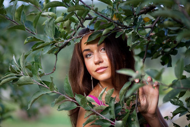 Similar image 491637