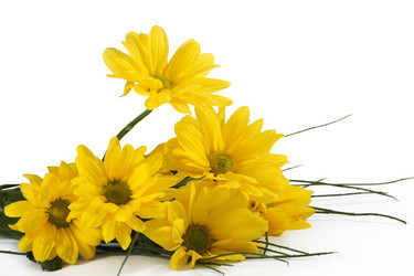 Similar image 491639