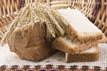 Similar image 491646