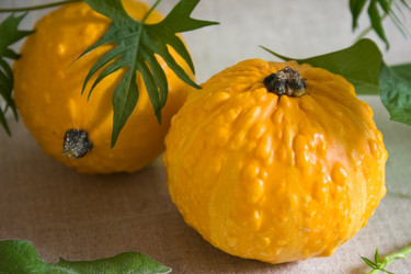 Similar image 491652