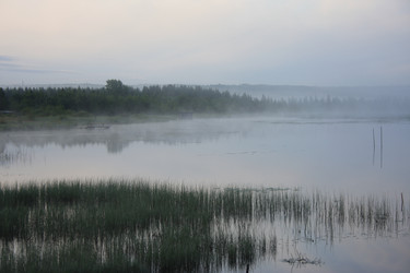 Similar image 491675