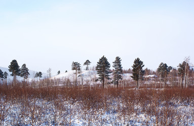 Similar image 491677