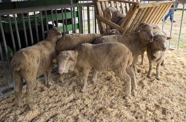 Similar image 491679