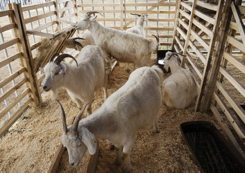 Similar image 491680