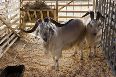 Similar image 491681