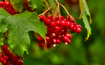 Similar image 491733