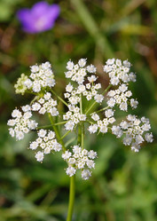 Similar image 491774