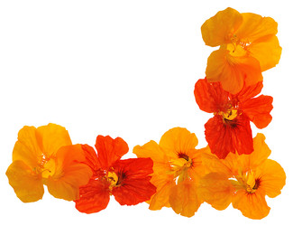 Similar image 491799