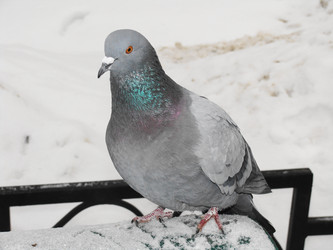 Similar image 491800