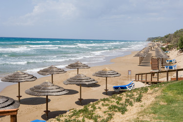 Similar image 491837