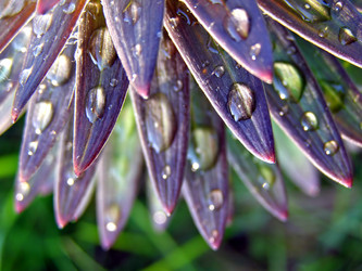 Similar image 491860