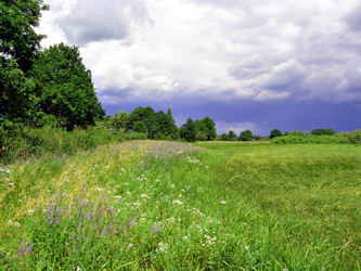 Similar image 491885