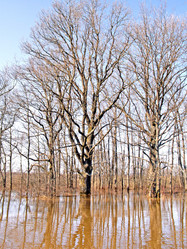 Similar image 491901