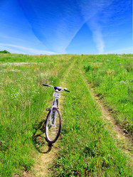 Similar image 491924