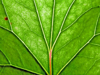 Similar image 492046