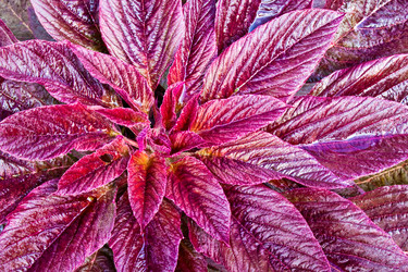 Similar image 492051