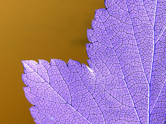 Similar image 492061