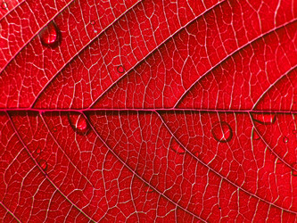 Similar image 492062