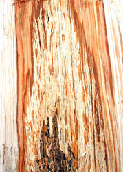 Similar image 492230