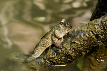 Similar image 492316