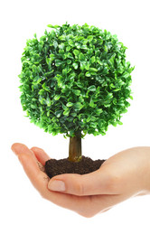 Similar image 492328