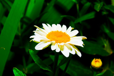 Similar image 492375