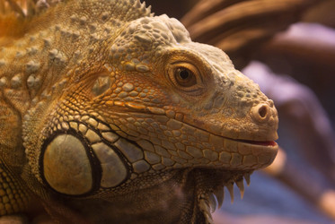 Similar image 492432