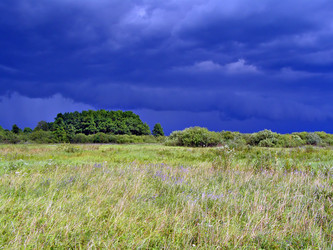 Similar image 492433