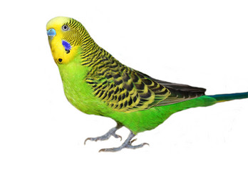 Similar image 492451