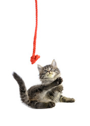 Similar image 492456