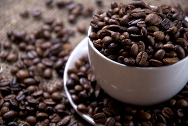 Similar image 492549