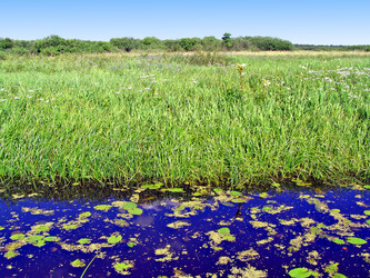 Similar image 492604