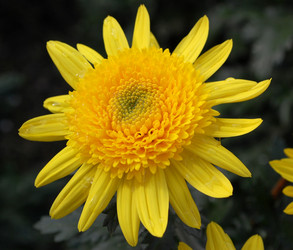 Similar image 492616