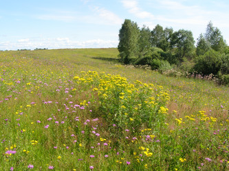 Similar image 492660