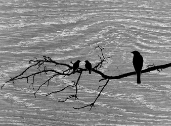 Similar image 492673