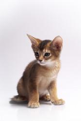 Similar image 492675