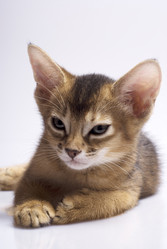 Similar image 492677