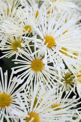 Similar image 492690